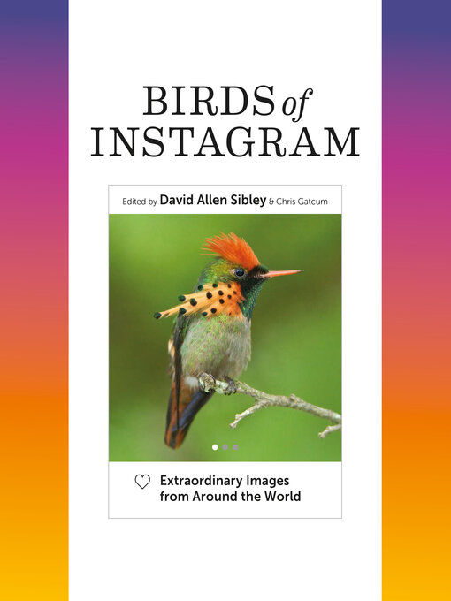 Title details for Birds of Instagram by David Allen Sibley - Available